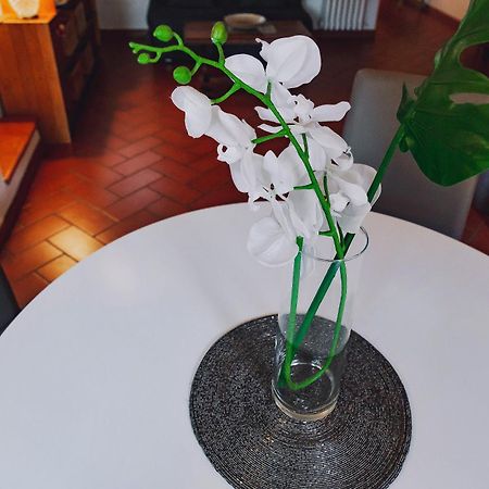 Appartement Borgo Pinti 49 à Florence Extérieur photo